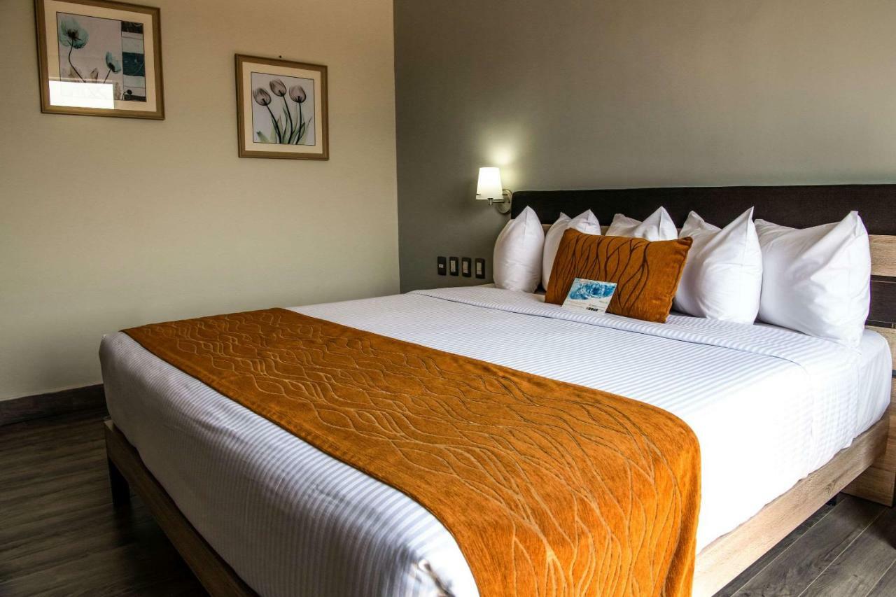 Comfort Inn Irapuato Extérieur photo